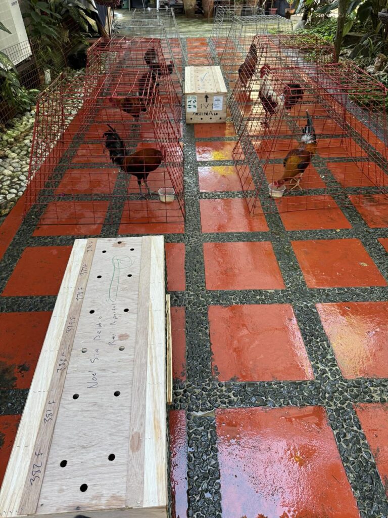 582340007_2361694124264239_949855768120605704_n