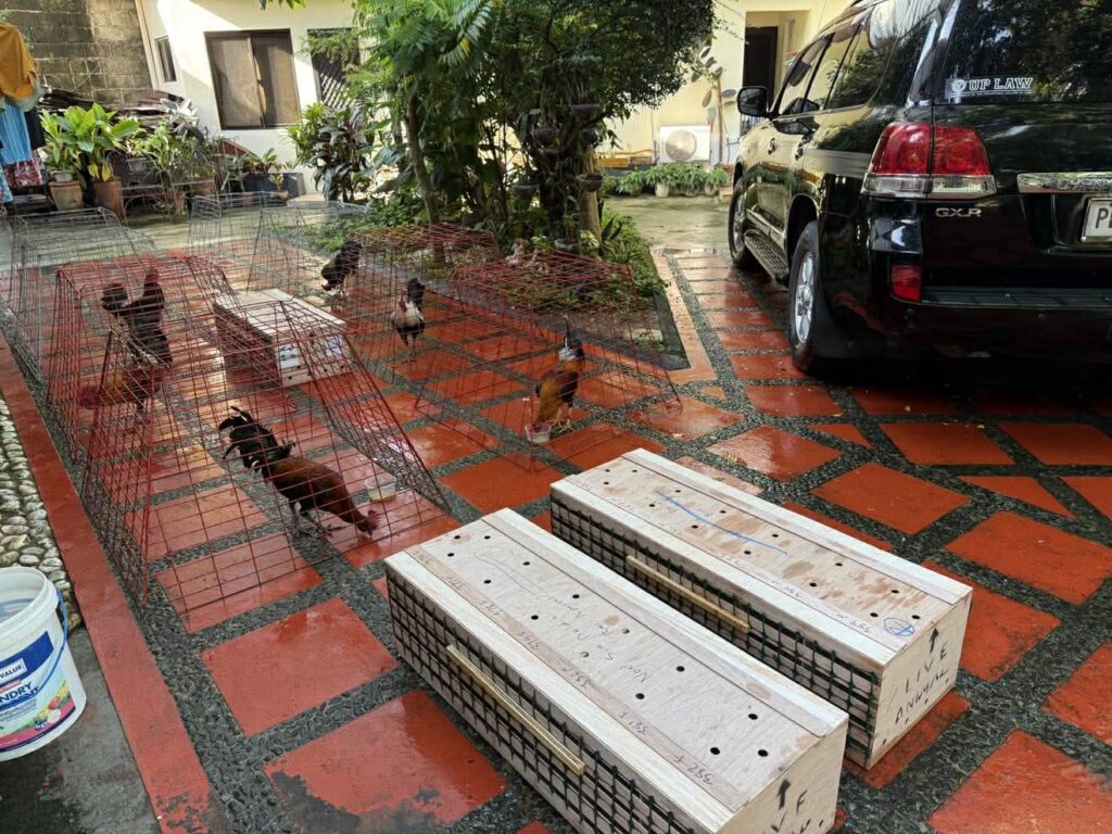 583848554_1580651783071096_4933561969031772779_n